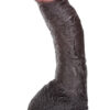Sean Michaels Dong.