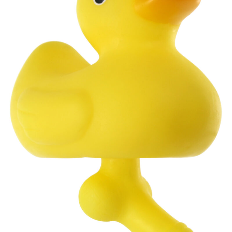 Kis kacsa nagy cerkával.