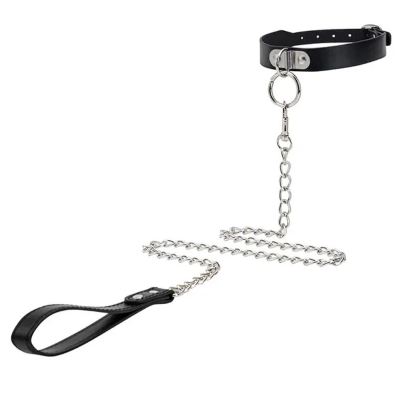 Bangkok nyakörv pórázzal.