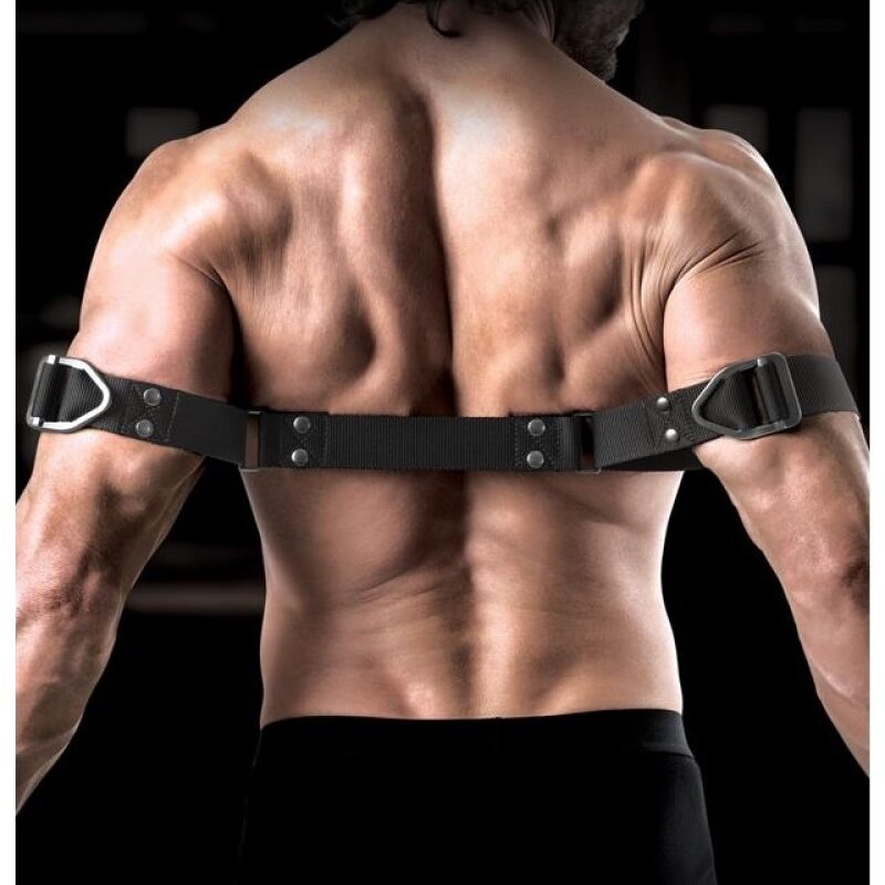 Sir Richards -Bicepsz bilincs.