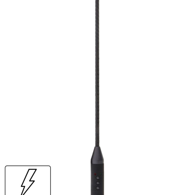 Electro Shock Cane,akkus